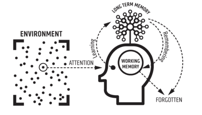 Memory – the science of learning